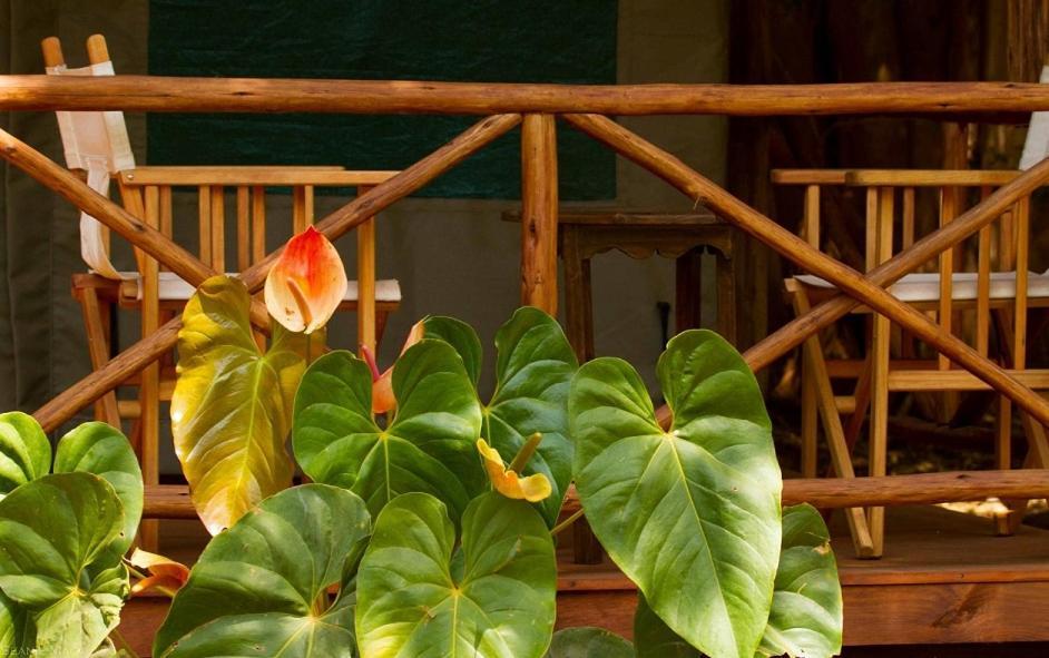 Simbamwenni Lodge And Camping Morogoro Kültér fotó