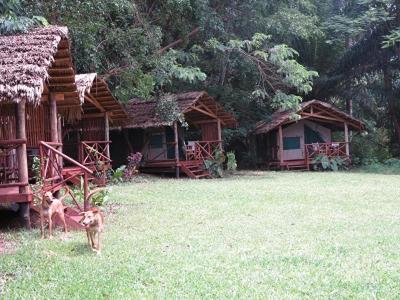 Simbamwenni Lodge And Camping Morogoro Kültér fotó