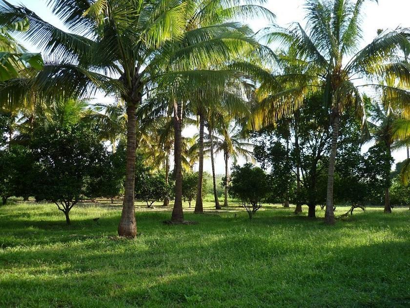 Simbamwenni Lodge And Camping Morogoro Kültér fotó
